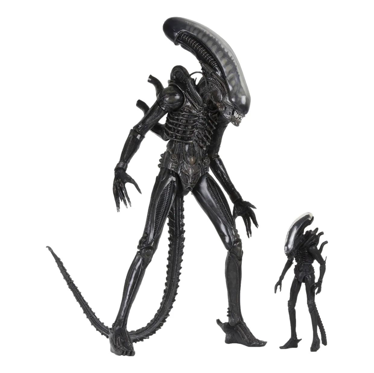 Alien: 40th Anniversary: The Count: Ultimate 22" Action Figure: 1/4 Scale - Neca Action Figure
