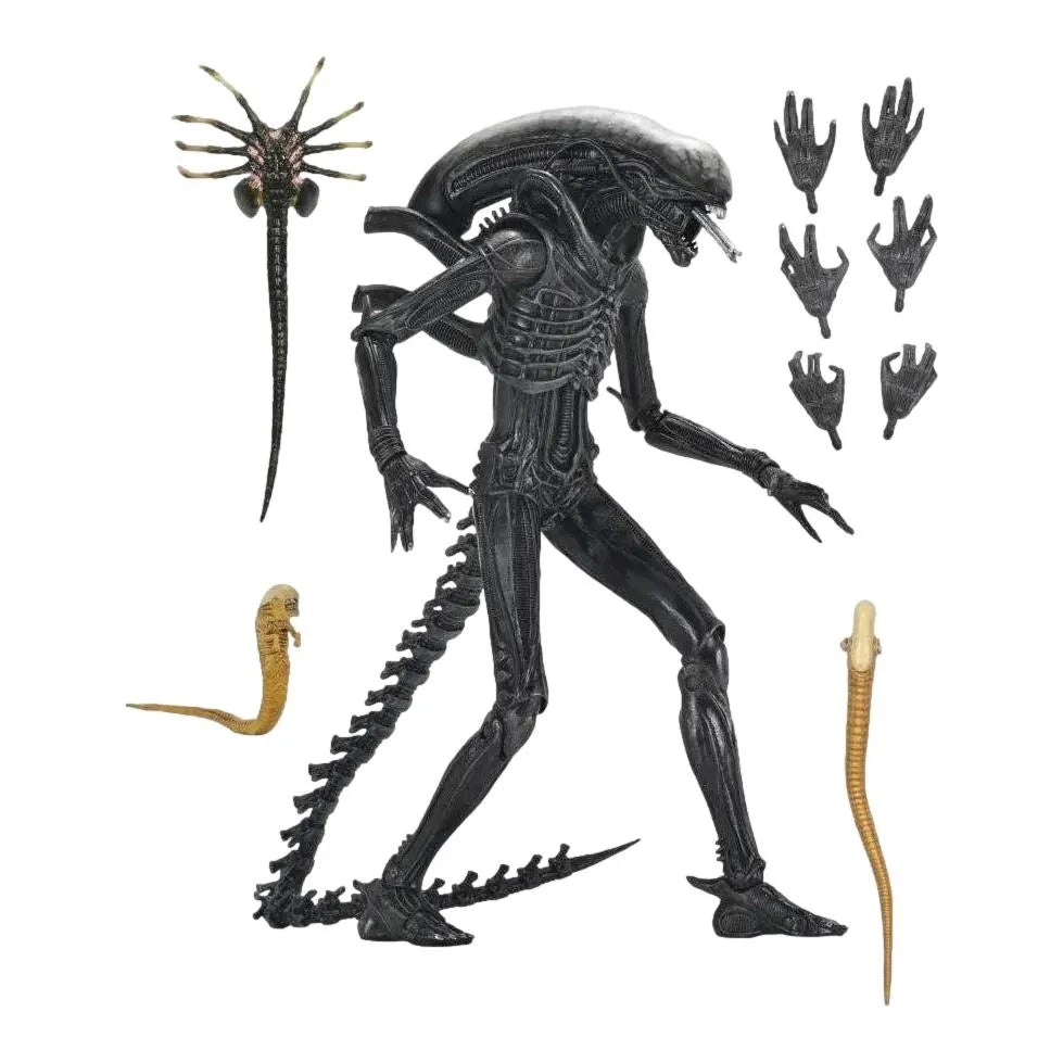 Alien: Romulus: Xenomorph XX121: Ultimate 7" Action Figure - Neca Action Figure