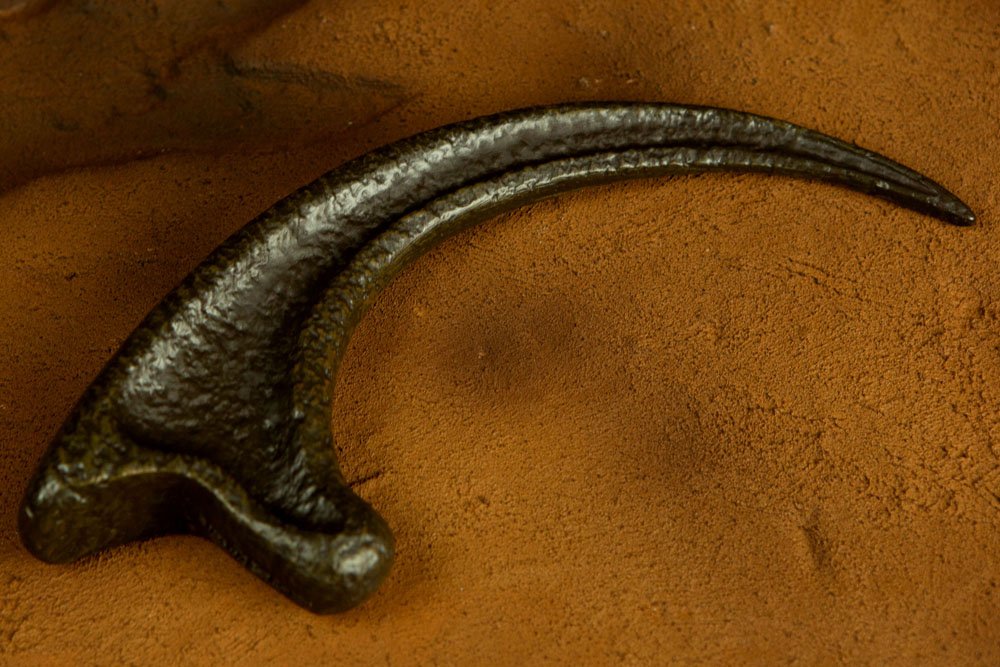 Jurassic Park Replica 1/1 Raptor Claw - Doctor Collector Replicas