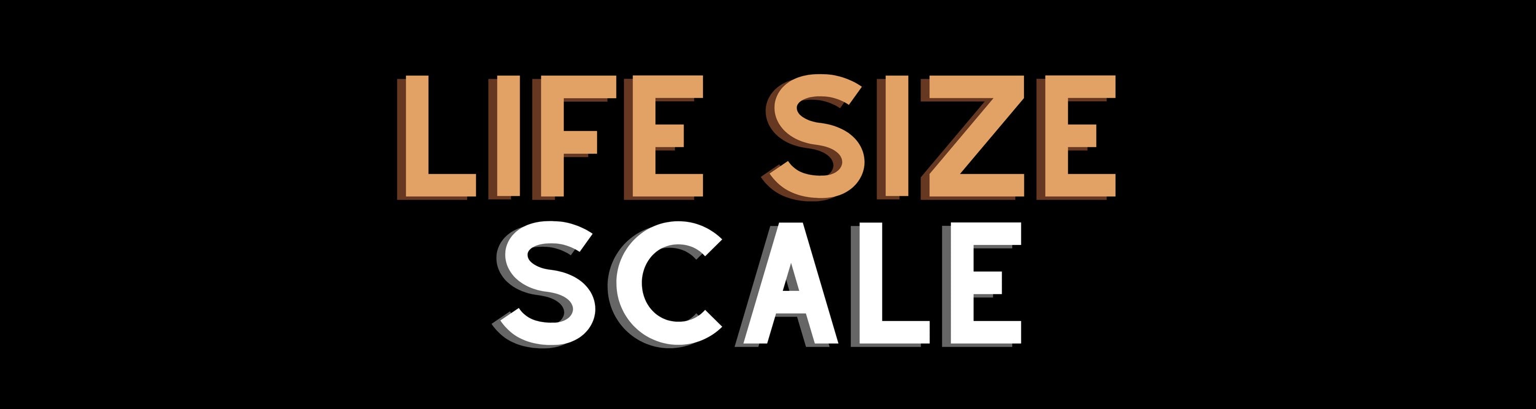 (1/1) Life Size Scale