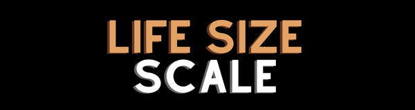 (1/1) Life Size Scale
