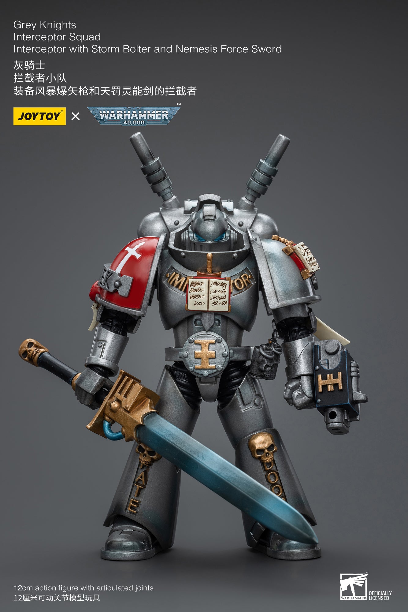 Warhammer 40k: Grey Knights: Interceptor with Storm Bolter and Nemesis Force Sword: Joy Toy