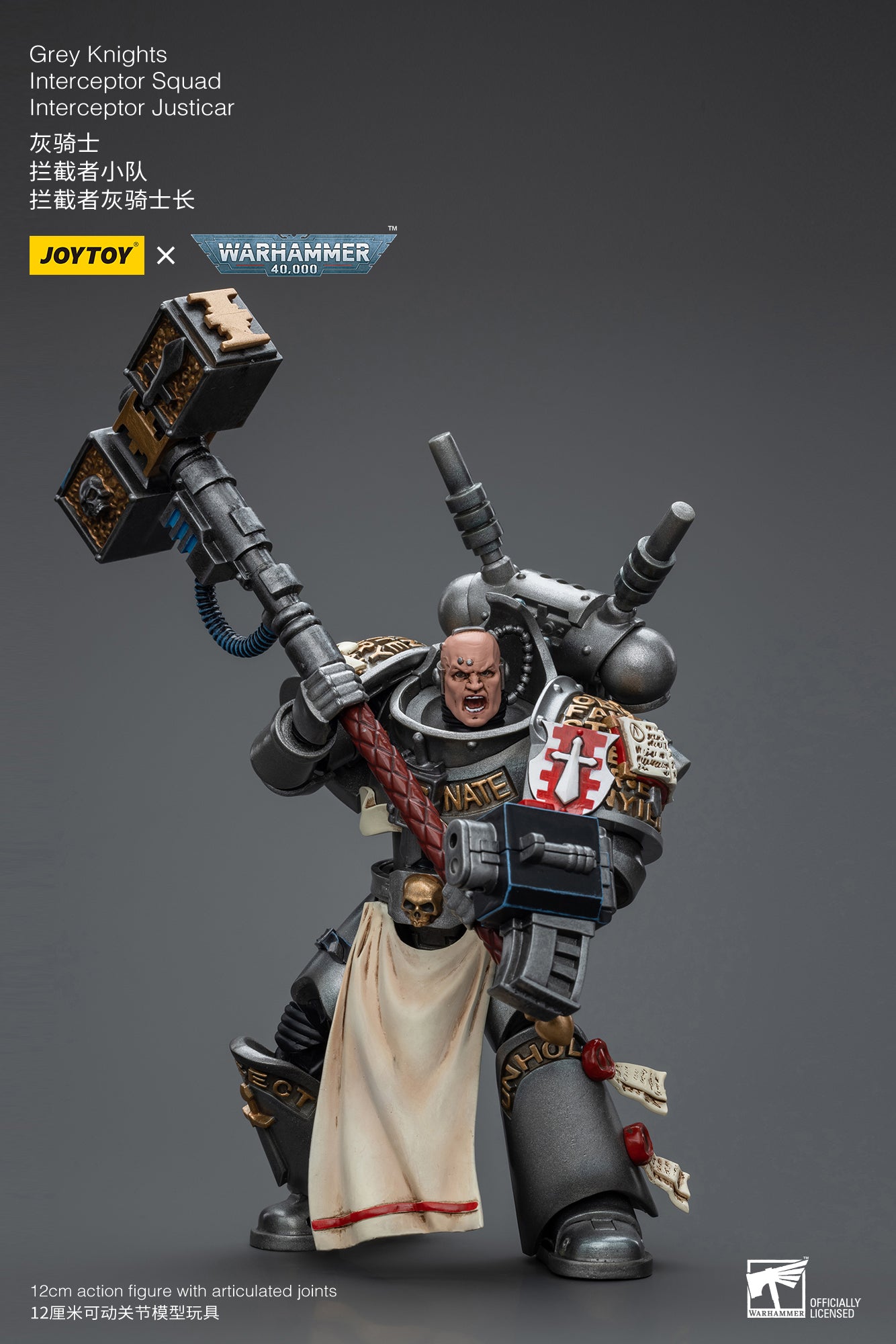 Warhammer 40k: Grey Knights: Interceptor Squad: Interceptor Justicar-Joy Toy