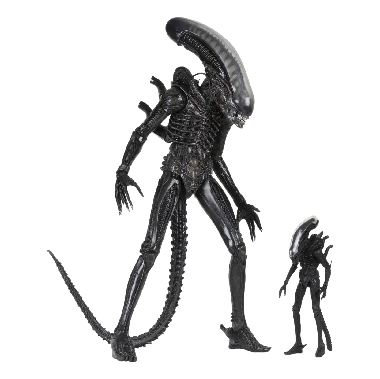 Alien: 40th Anniversary: The Count: Ultimate 22" Action Figure: 1/4 Scale - Neca Action Figures