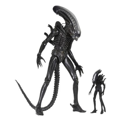 Alien: 40th Anniversary: The Count: Ultimate 22" Action Figure: 1/4 Scale - Neca Action Figures