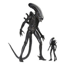 Alien: 40th Anniversary: The Count: Ultimate 22" Action Figure: 1/4 Scale Neca