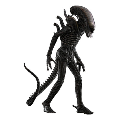 Alien: Big Chap: 1/6th - Hot Toys Action Figures