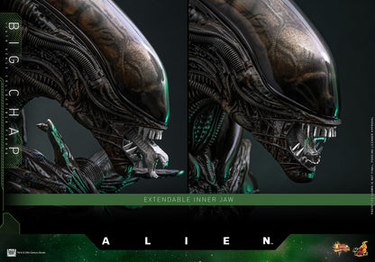 Alien: Big Chap: 1/6th - Hot Toys Action Figures