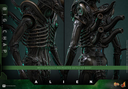 Alien: Big Chap: 1/6th - Hot Toys Action Figures
