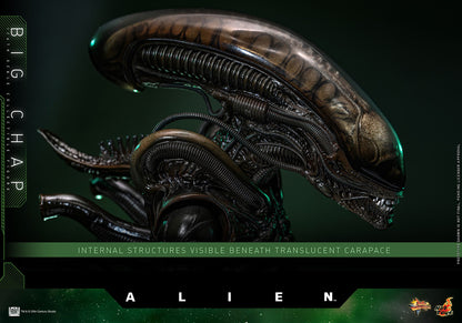 Alien: Big Chap: 1/6th - Hot Toys Action Figures