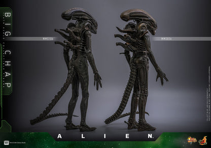 Alien: Big Chap: 1/6th - Hot Toys Action Figures