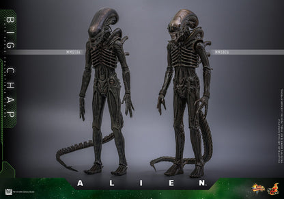 Alien: Big Chap: 1/6th - Hot Toys Action Figures