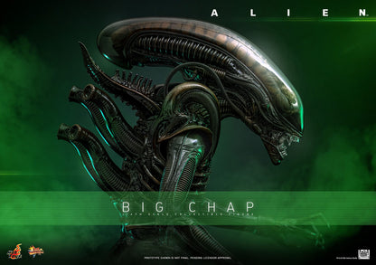 Alien: Big Chap: 1/6th - Hot Toys Action Figures