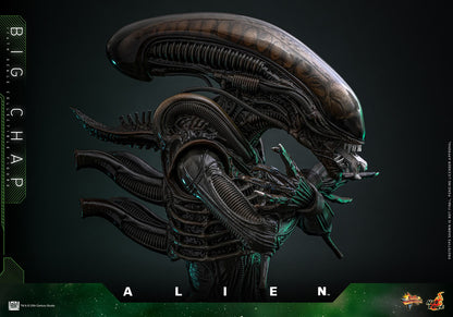 Alien: Big Chap: 1/6th - Hot Toys Action Figures