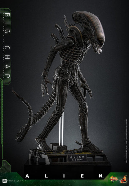 Alien: Big Chap: 1/6th - Hot Toys Action Figures