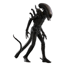 Alien: Big Chap: 1/6th - Hot Toys Action Figures