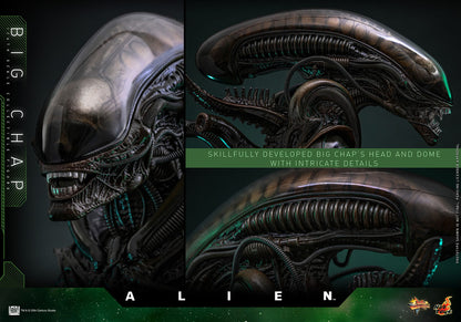Alien: Big Chap: 1/6th Scale Action Figure - Hot Toys Action Figure