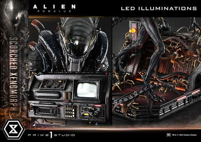 Alien: Romulus Museum Masterline XL Statue 1/3 Scorched Xenomorph Deluxe Bonus Version 9 - Prime 1 Studio Statues