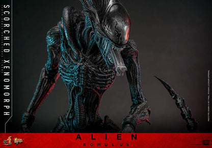 Alien: Romulus: Scorched Xenomorph: 1/6th - Hot Toys Action Figures