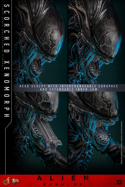 Alien: Romulus: Scorched Xenomorph: 1/6th - Hot Toys Action Figures