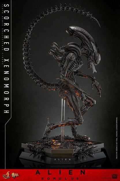 Alien: Romulus: Scorched Xenomorph: 1/6th Scale Action Figure - Hot Toys Action Figure