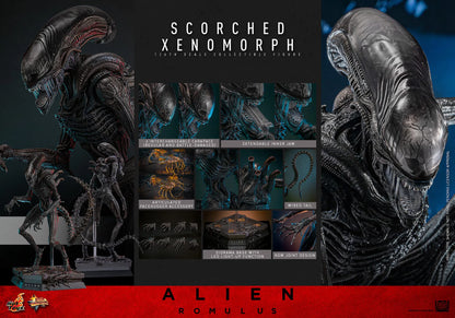 Alien: Romulus: Scorched Xenomorph: 1/6th Scale Action Figure - Hot Toys Action Figure