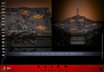Alien: Romulus: Scorched Xenomorph: 1/6th Scale Action Figure - Hot Toys Action Figure