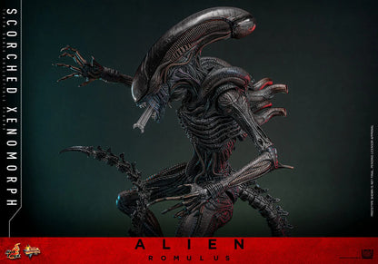 Alien: Romulus: Scorched Xenomorph: 1/6th Scale Action Figure - Hot Toys Action Figure