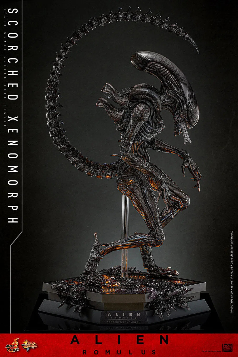 Alien: Romulus: Scorched Xenomorph: 1/6th Scale Action Figure: Hot Toys by Hot Toys – Action Figure, [scale], UK stockist Planet Action Figures