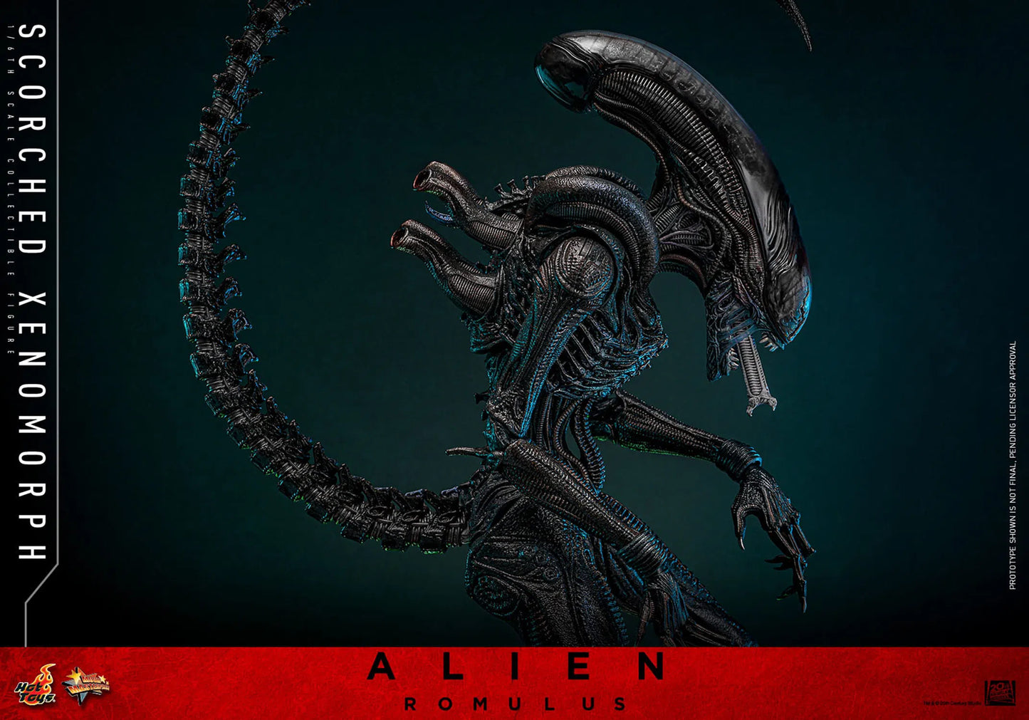Alien: Romulus: Scorched Xenomorph: 1/6th Scale Action Figure: Hot Toys by Hot Toys – Action Figure, [scale], UK stockist Planet Action Figures