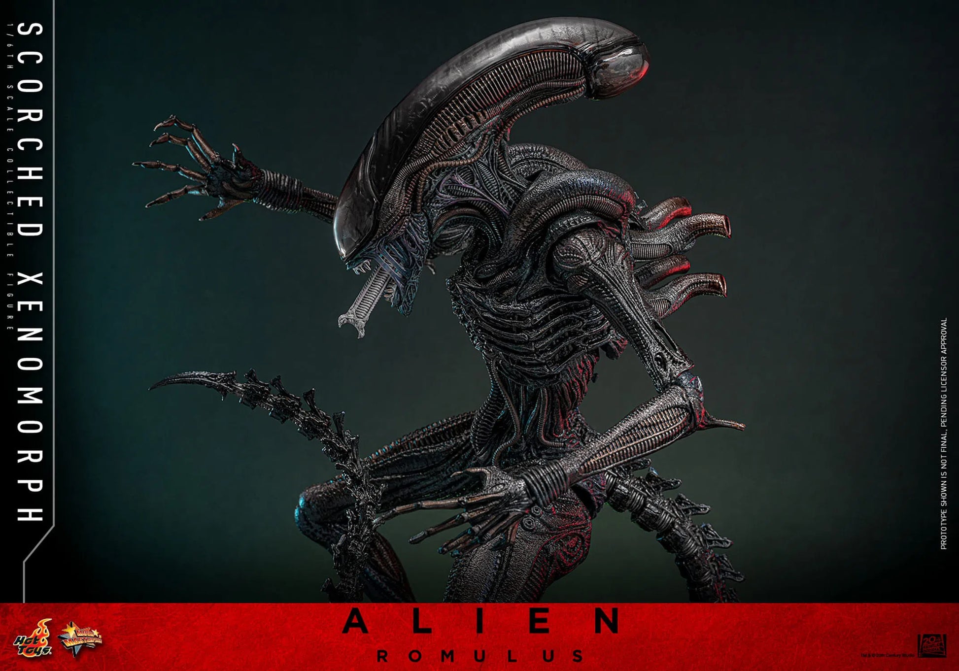 Alien: Romulus: Scorched Xenomorph: 1/6th Scale Action Figure: Hot Toys by Hot Toys – Action Figure, [scale], UK stockist Planet Action Figures