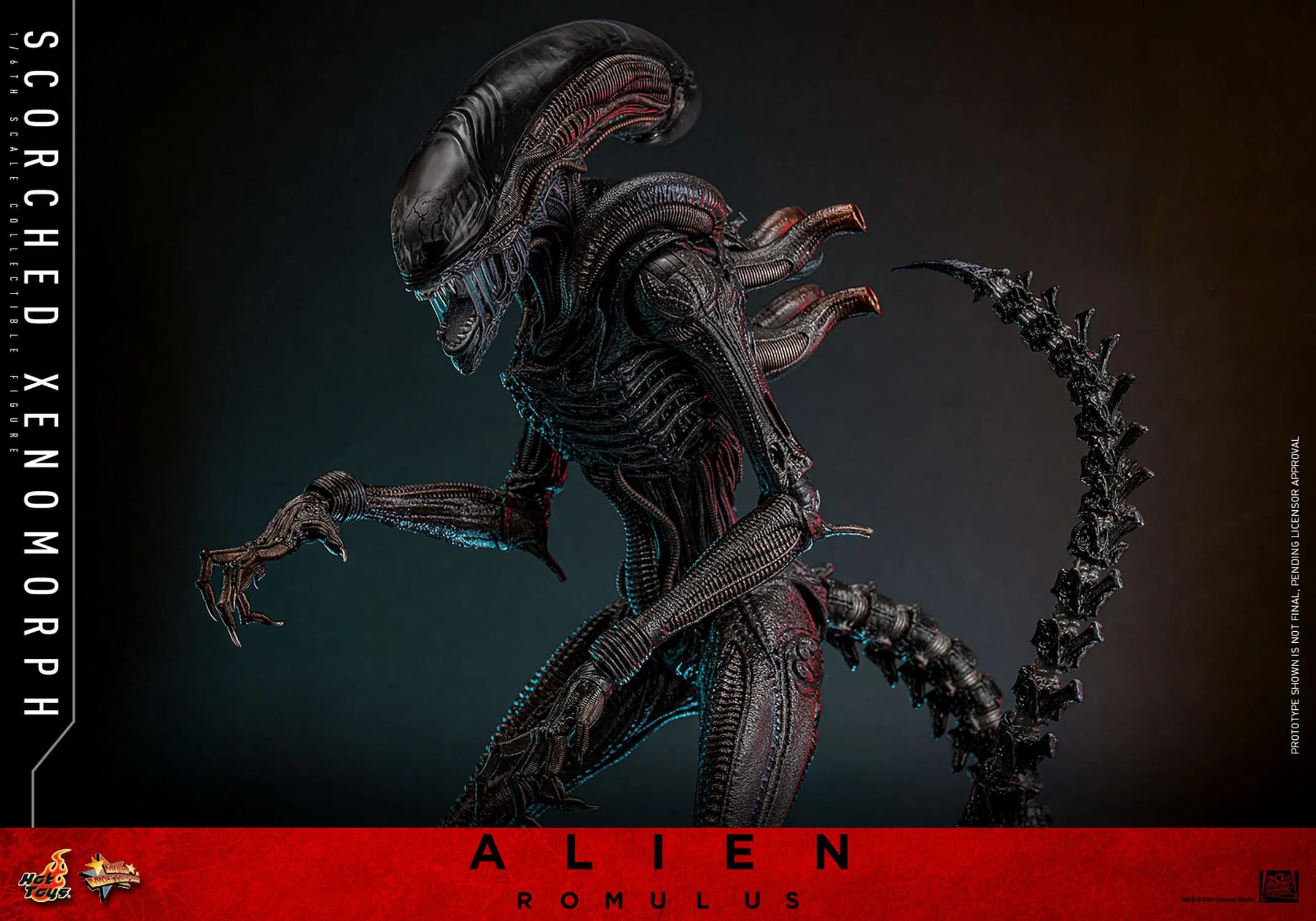 Alien: Romulus: Scorched Xenomorph: 1/6th Scale Action Figure: Hot Toys Hot Toys