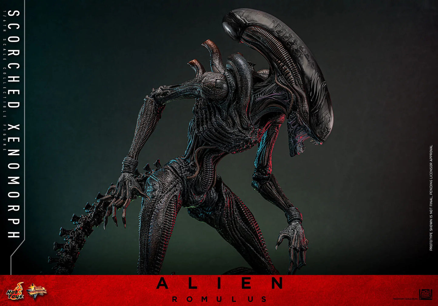 Alien: Romulus: Scorched Xenomorph: 1/6th Scale Action Figure: Hot Toys by Hot Toys – Action Figure, [scale], UK stockist Planet Action Figures