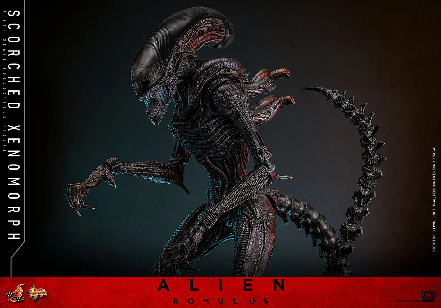 Alien: Romulus: Scorched Xenomorph: 1/6th Scale Action Figure: Hot Toys by Hot Toys – Action Figure, [scale], UK stockist Planet Action Figures