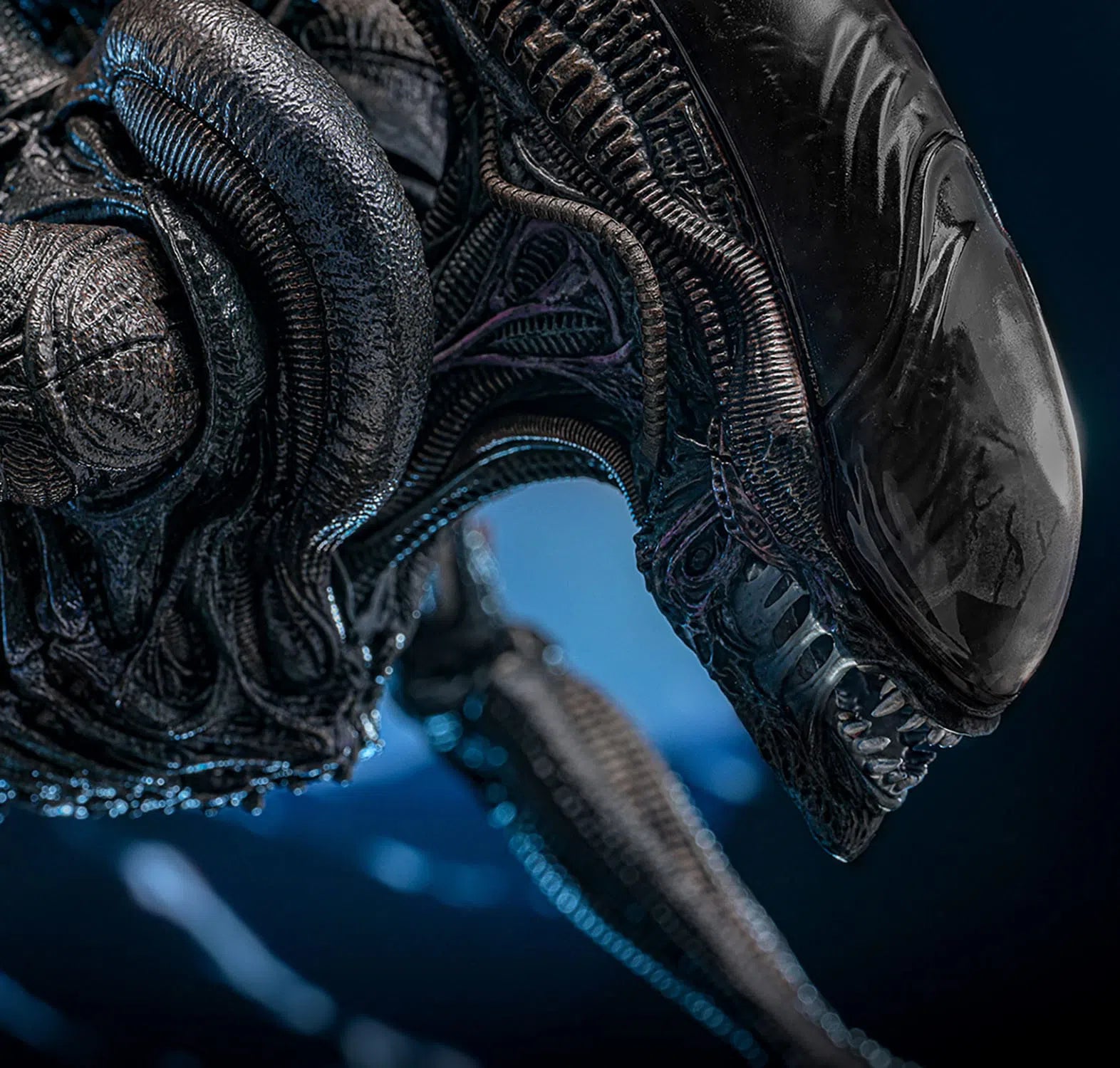 Alien: Romulus: Scorched Xenomorph: 1/6th Scale Action Figure: Hot Toys by Hot Toys – Action Figure, [scale], UK stockist Planet Action Figures