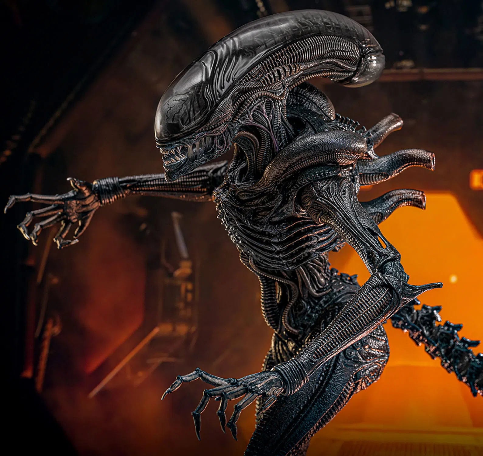 Alien: Romulus: Scorched Xenomorph: 1/6th Scale Action Figure: Hot Toys by Hot Toys – Action Figure, [scale], UK stockist Planet Action Figures