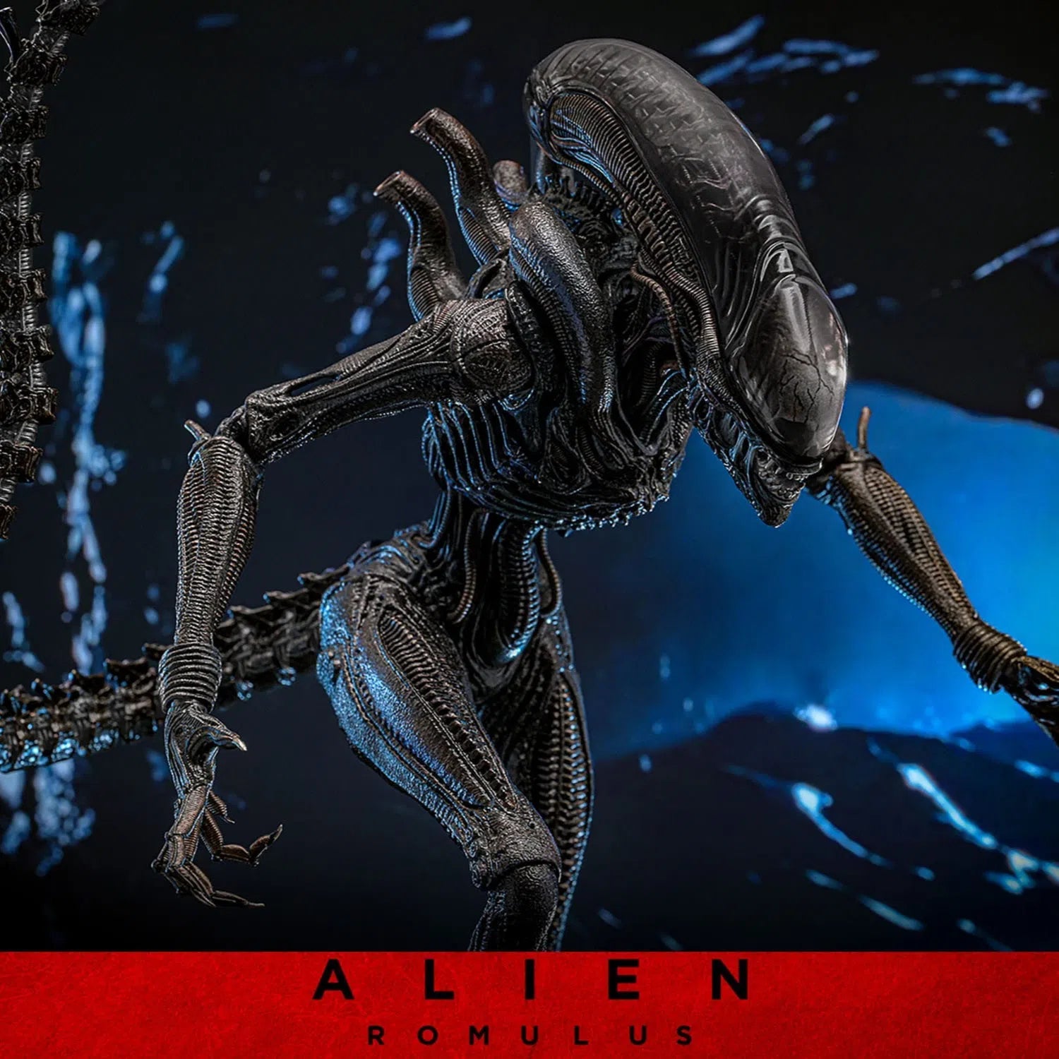 Alien: Romulus: Scorched Xenomorph: 1/6th Scale Action Figure: Hot Toys by Hot Toys – Action Figure, [scale], UK stockist Planet Action Figures