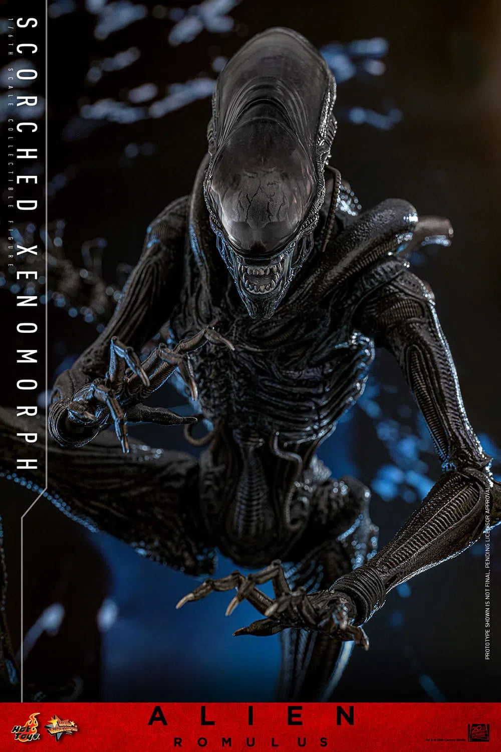 Alien: Romulus: Scorched Xenomorph: 1/6th Scale Action Figure: Hot Toys by Hot Toys – Action Figure, [scale], UK stockist Planet Action Figures