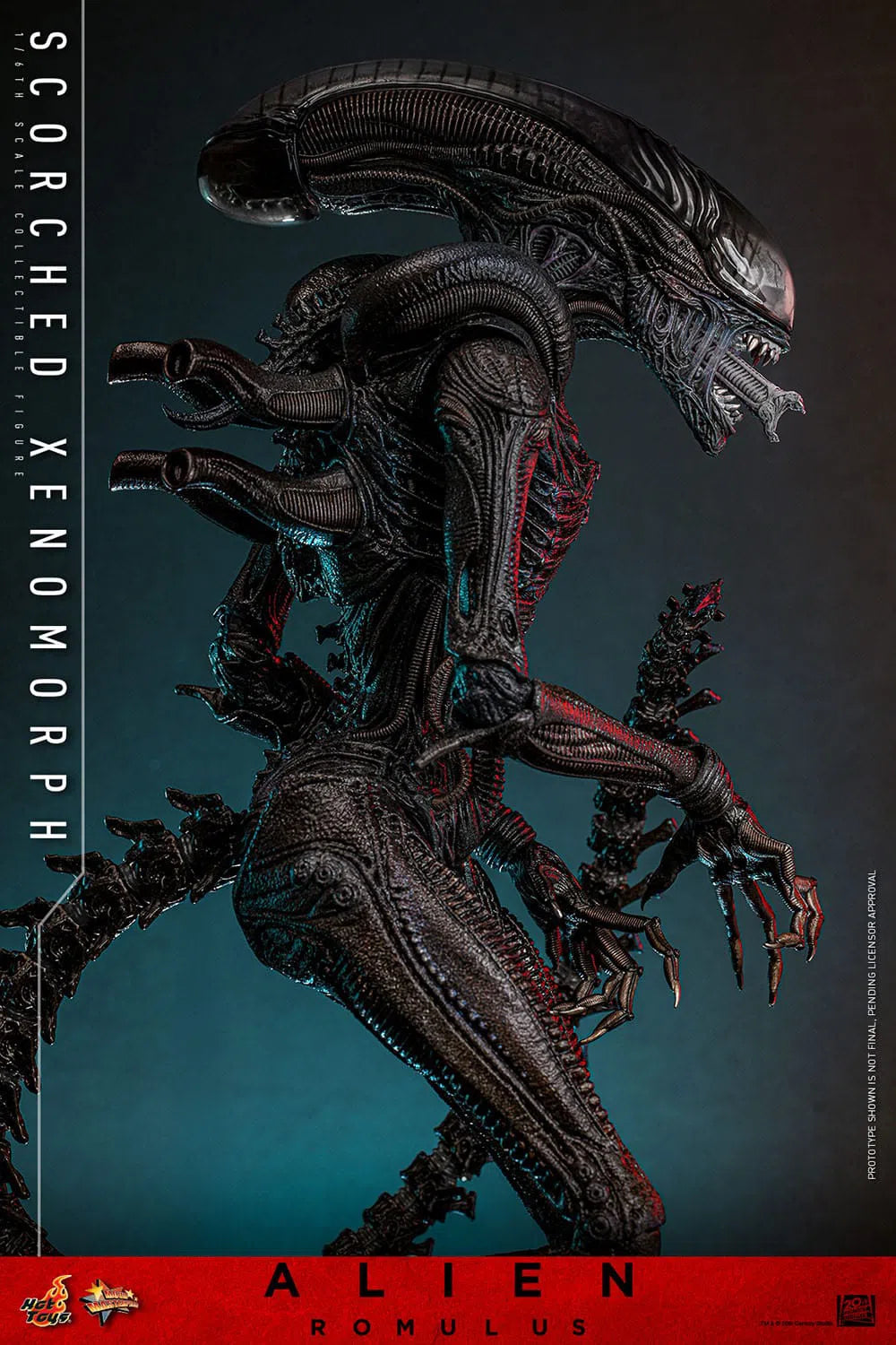 Alien: Romulus: Scorched Xenomorph: 1/6th Scale Action Figure: Hot Toys by Hot Toys – Action Figure, [scale], UK stockist Planet Action Figures