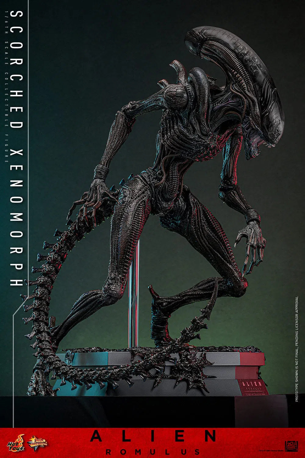 Alien: Romulus: Scorched Xenomorph: 1/6th Scale Action Figure: Hot Toys by Hot Toys – Action Figure, [scale], UK stockist Planet Action Figures