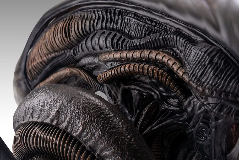 Alien Romulus: Xenomorph: 1/1 Bust - Hollywood Collectibles Group Lifesize busts