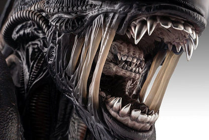 Alien Romulus: Xenomorph: 1/1 Bust - Hollywood Collectibles Group Lifesize busts