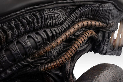 Alien Romulus: Xenomorph: 1/1 Bust - Hollywood Collectibles Group Lifesize busts