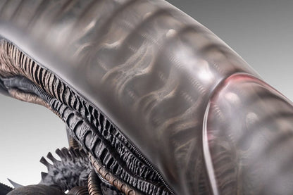 Alien Romulus: Xenomorph: 1/1 Bust - Hollywood Collectibles Group Lifesize busts