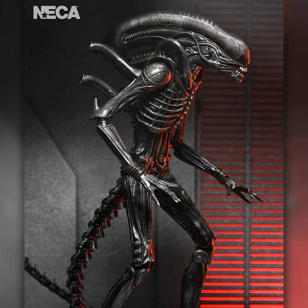 Alien: Romulus: Xenomorph XX121: Ultimate 7" Action Figure Neca