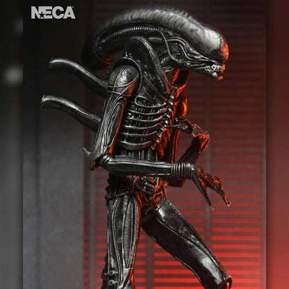 Alien: Romulus: Xenomorph XX121: Ultimate 7" Action Figure - Neca Action Figure