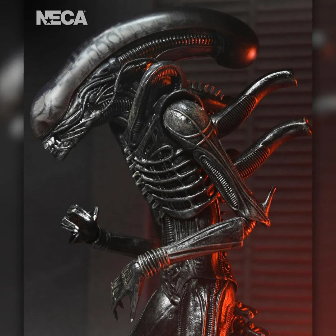 Alien: Romulus: Xenomorph XX121: Ultimate 7" Action Figure Neca