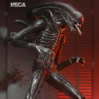 Alien: Romulus: Xenomorph XX121: Ultimate 7" Action Figure - Neca Action Figure