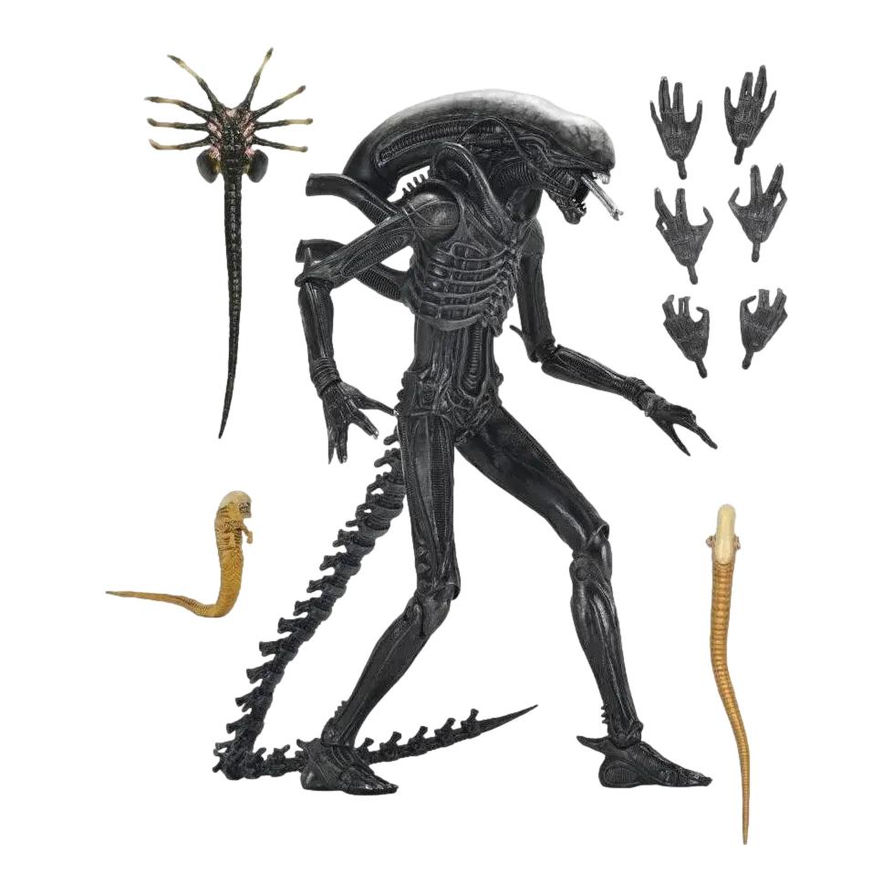 Alien: Romulus: Xenomorph XX121: Ultimate 7" Action Figure Neca