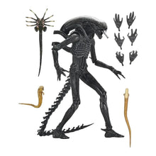 Alien: Romulus: Xenomorph XX121: Ultimate 7" Action Figure Neca